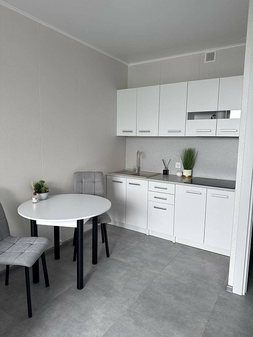 Оренда Квартира 1-кімнатна, 26/26 поверх на Миколи Бажана, 17А Киев - изображение 14