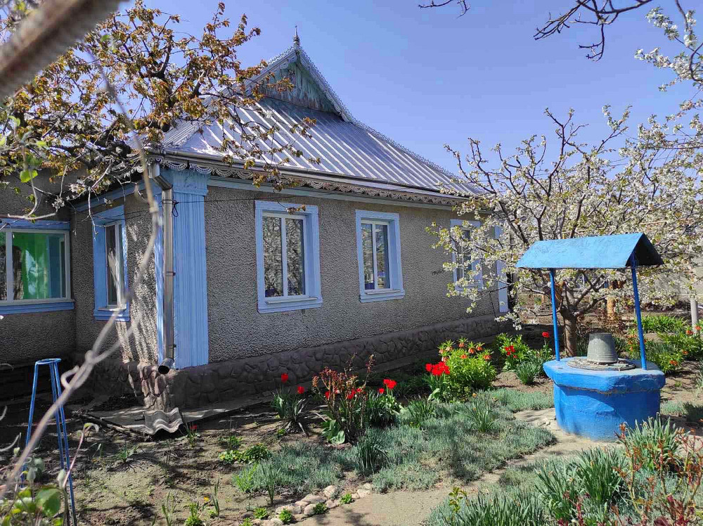 Продам дом село Троицкое Беляевский район Одесская область Новотроїцьке (Любашівський район) - фото 1