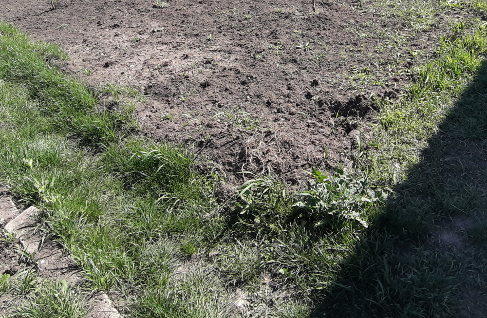 Продаж земельної ділянки 0.1 соток на переулок Липовая аллея, 1 Нерубайське - фото 1