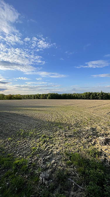 Продаж земельної ділянки 1 га Угринів - фото 1