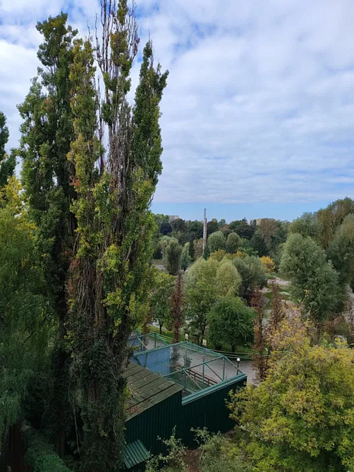 Оренда Квартира 1-кімнатна, 5/5 поверх на Богдана Гаврилишина, 13/2 Kiev - photo 5