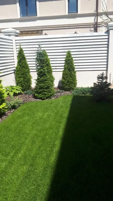 Продажа 2-этажный Таунхаус с участком 1 сот 180 кв.м 3 комн. на вулиця Дворянська, 14 Одесса - изображение 4