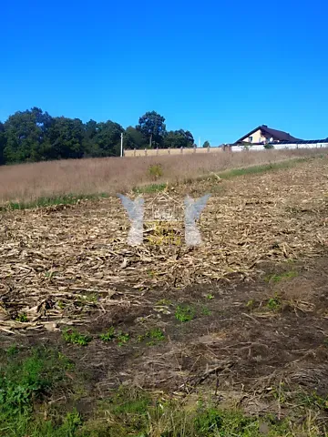 Продажа земельного участка  площадь 54 сот Лісна бічна вулиця  - изображение 1