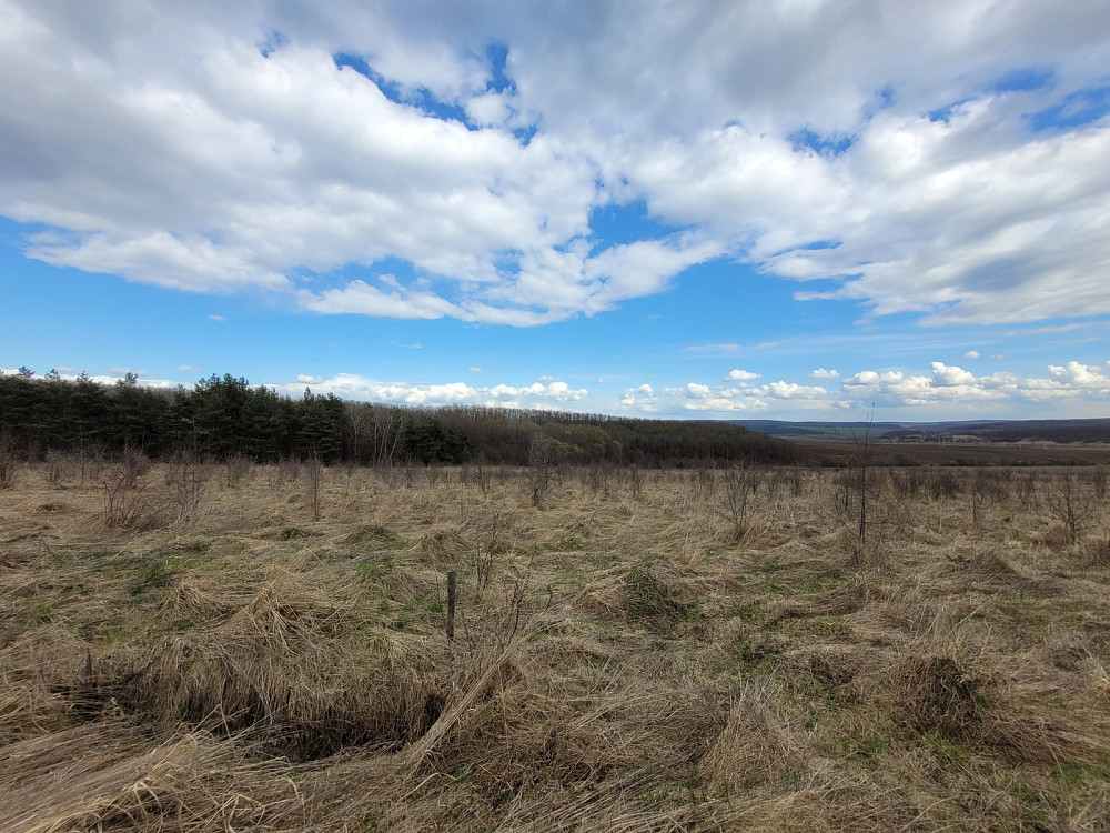 Продаж земельної ділянки 1.87 га Kolodiivka - photo 10