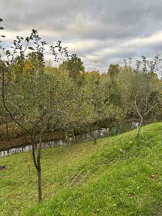 Оренда Будинок на Молодіжний, 94 Солотвин