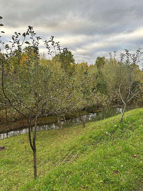 Оренда Будинок на Молодіжний, 94 Солотвин - фото 1