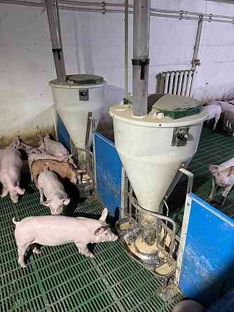 Продаж виробниче приміщення приміщень - 1, поверх - 1/1 Винница