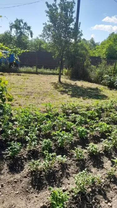 Продаж Будинок  - фото 12