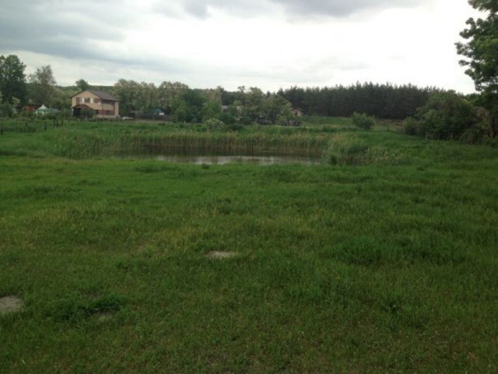 Продаж 1-поверховий Будинок з ділянкою 65 сот 120 кв.м    - фото 5