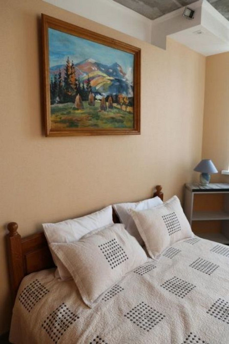 Оренда Квартира 2-кімнатна, 20/25 поверх на ул. Елизаветы Чавдар Київ - фото 3