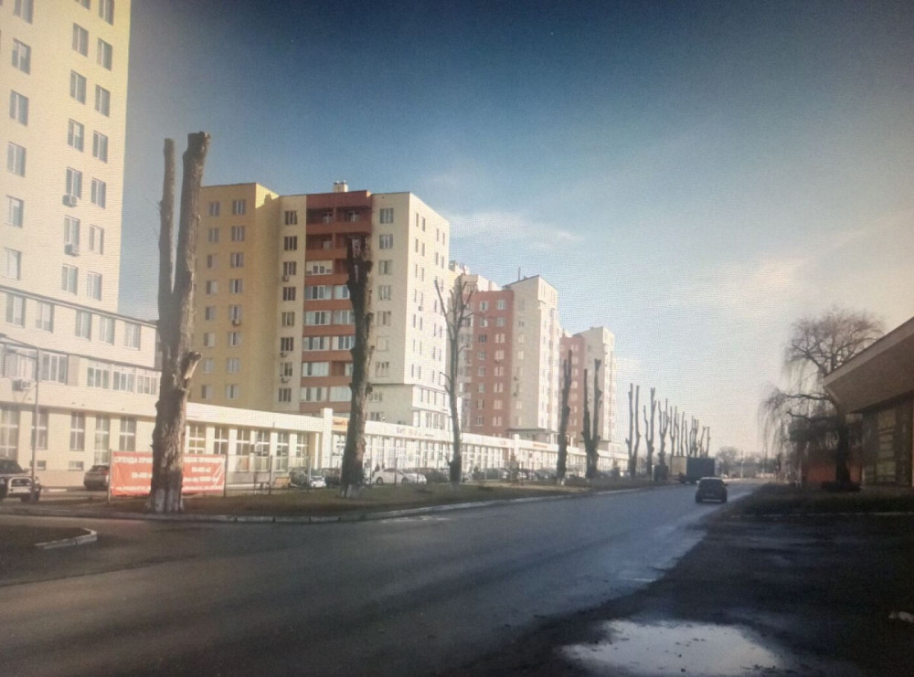 Оренда приміщення вільного призначення на улица Выставочная, д.1 приміщень - 1, поверх - 1/1  - изображение 9