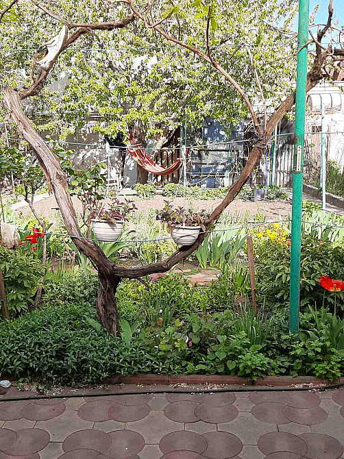 Одноэтажный дом 110 м² на 11 ст. Б. Фонтана, с участком и зоной отдыха Одеса - фото 7