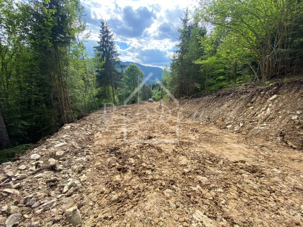 Продаж земельної ділянки 80 соток на Довга Верхній Ясенів - фото 11