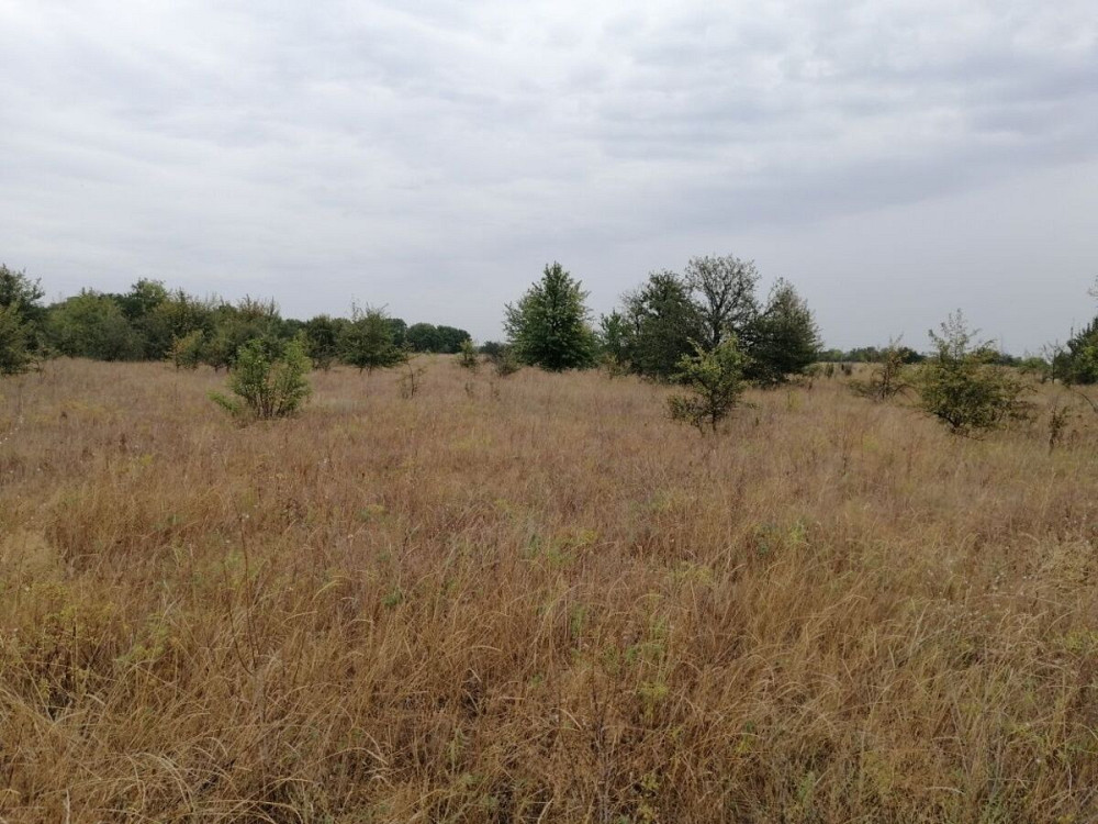 Продаж земельної ділянки 10 соток на АН Купи Дім Кропивницький - фото 4