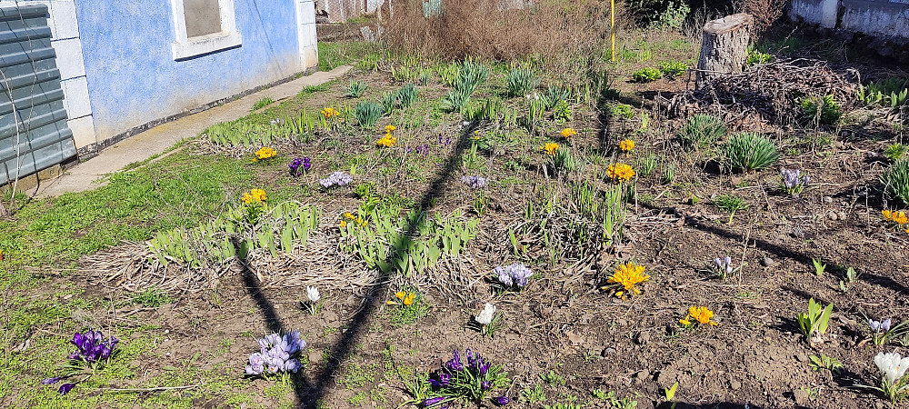 Продается дом, село Дачное. Дачне - фото 15