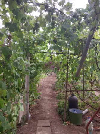 Продам дом в Светлом (Старые Дачи, 5 км от Одессы) Світле