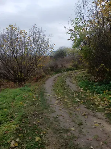 Продажа земельного участка  площадь 6 сот Зелена вулиця 1  - изображение 5