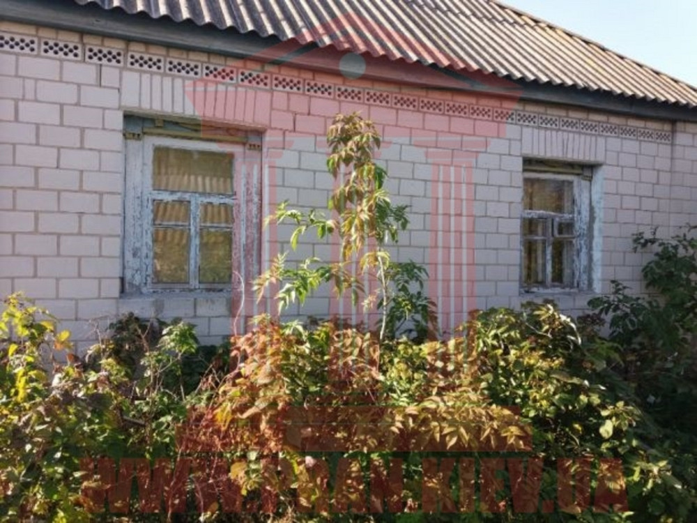 Продаж 1-поверховий Будинок з ділянкою 24 сот 50 кв.м   Іванків - фото 13