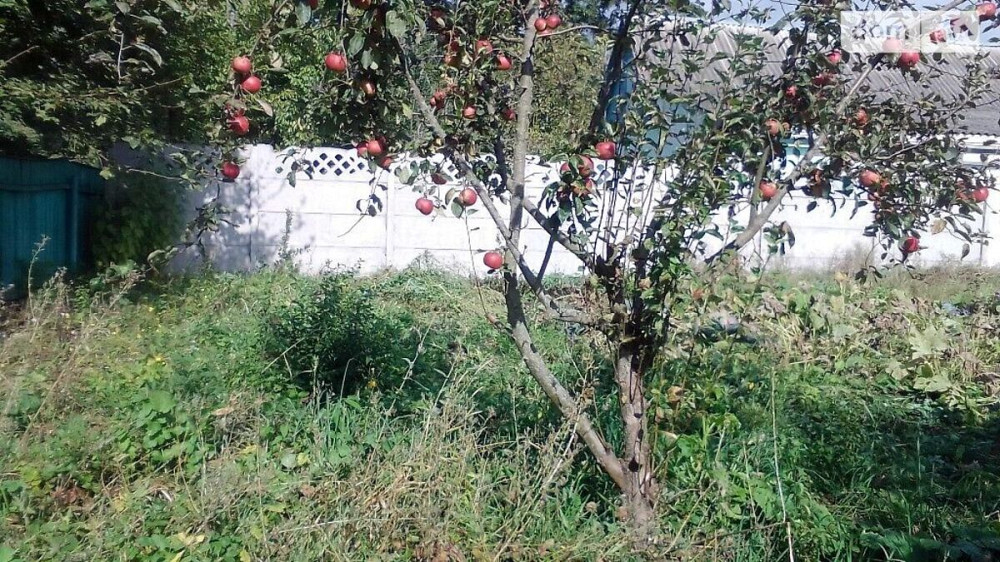 Продаж Будинок на Лесі Українки  - фото 7