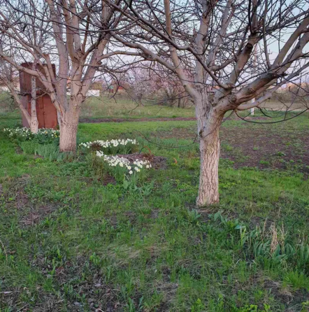 Продаж земельної ділянки 15 соток на АН Купи Дім Кропивницький