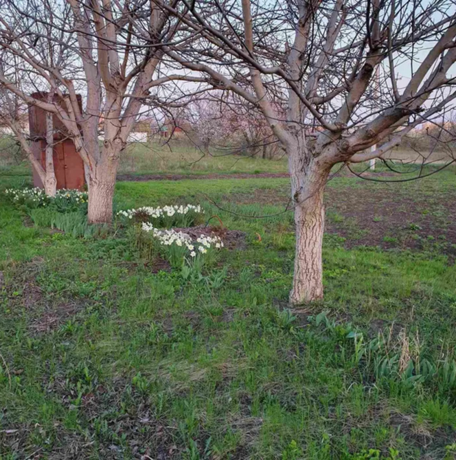 Продаж земельної ділянки 15 соток на АН Купи Дім Кропивницький - фото 1