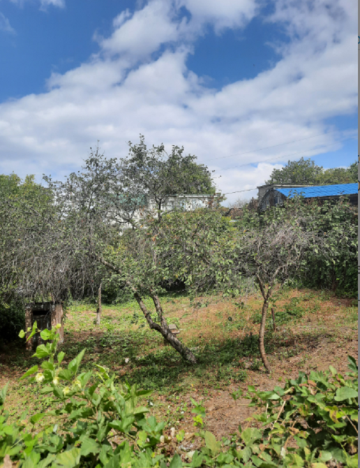 Продаётся уютная зимняя дача в Черноморке Одеса - фото 8