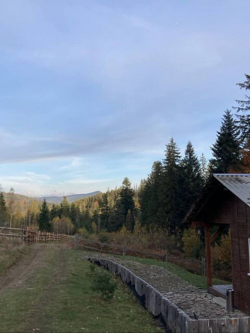 Продаж земельної ділянки 53.33 соток  - photo 8