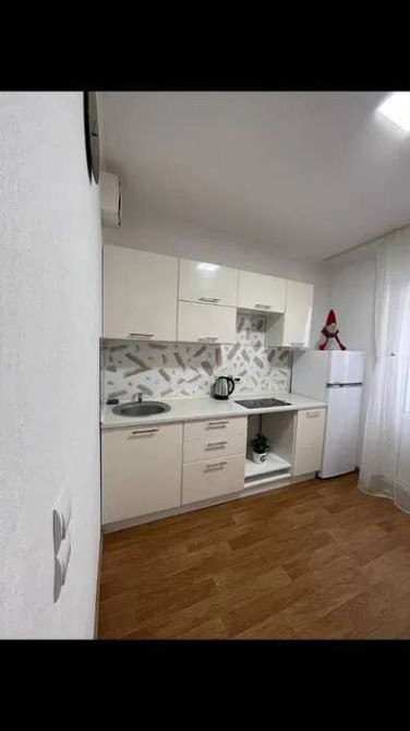 Оренда Квартира 1-кімнатна, 22/25 поверх на ул. Софии Русовой Київ - фото 5