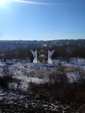 Продажа земельного участка  площадь 10 сот Вишнева вулиця 1  - изображение 4