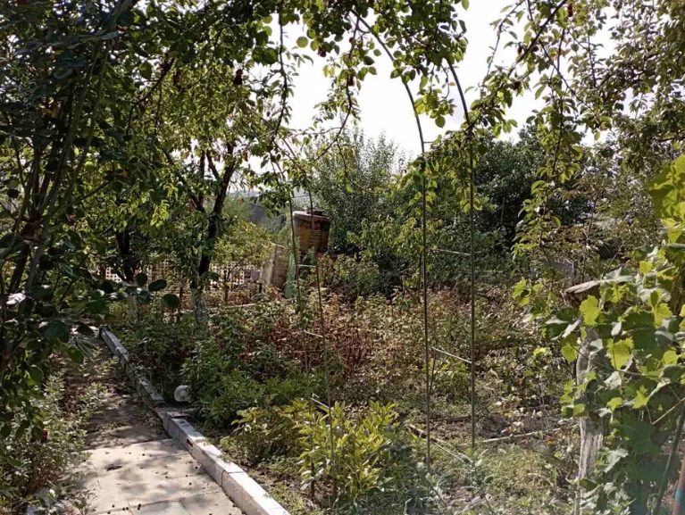 Продам дачу на берегу Хаджибеевского лимана (СМ "Отрадово", Болгарка) Odradove - photo 6