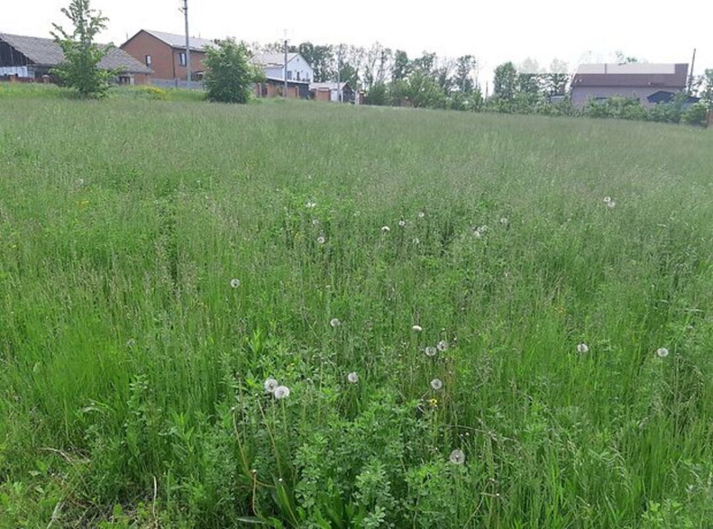 Продаж земельної ділянки 12.515 соток Підгайці - фото 5