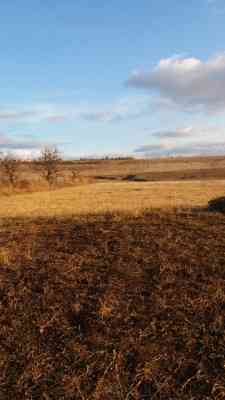 Продаж земельної ділянки 8 соток на ул. Королёва, 21а Нерубайське