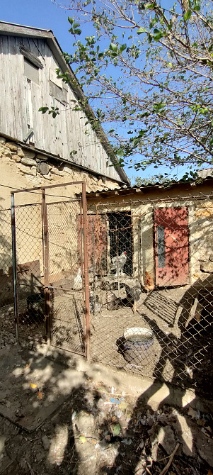 Продается хозяйский дом в Красноселке Красносілка - фото 8