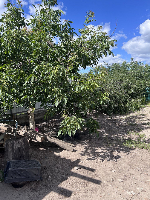 Продаж 1-поверховий Будинок з ділянкою 15 сот 85 кв.м 4 кімн. на Сонячне Zhytomyr - photo 2