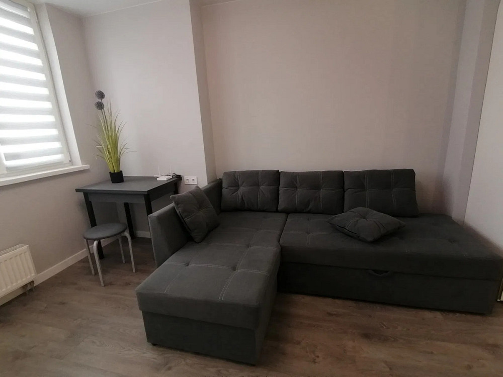 Оренда Квартира 1-кімнатна, 16/25 поверх на вул. Максимовича, 32А Київ - фото 3