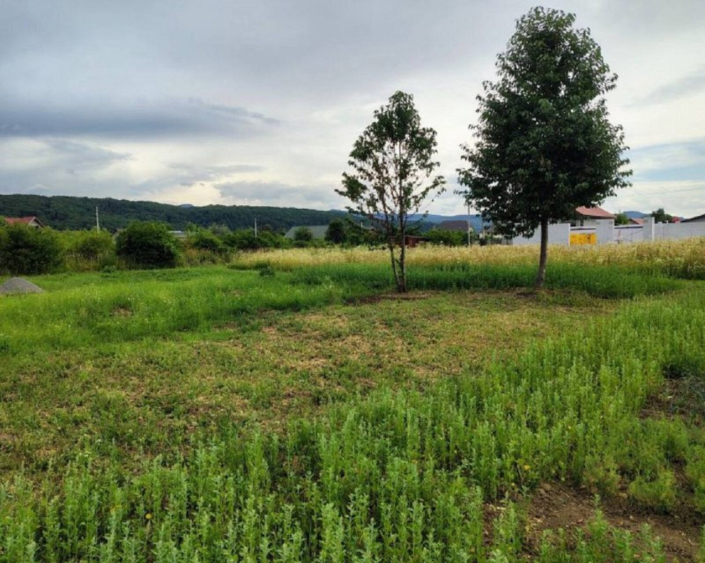 Продаж земельної ділянки 8 соток на Ужгородська 8  - photo 3