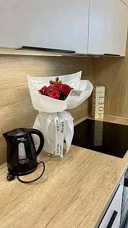 Оренда Квартира 1-кімнатна, 3/20 поверх на Деміївська, 16 Київ