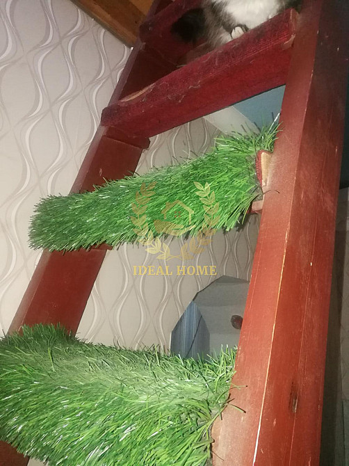 Продам будинок у Чабанах  - фото 11