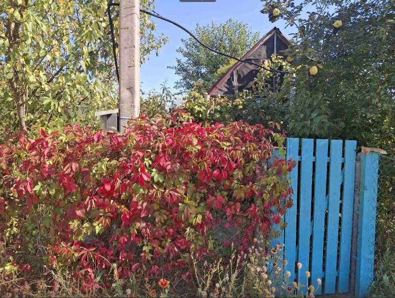 Продаж земельної ділянки 21 соток на садовое товарищество - Бытовик Обухов - изображение 2