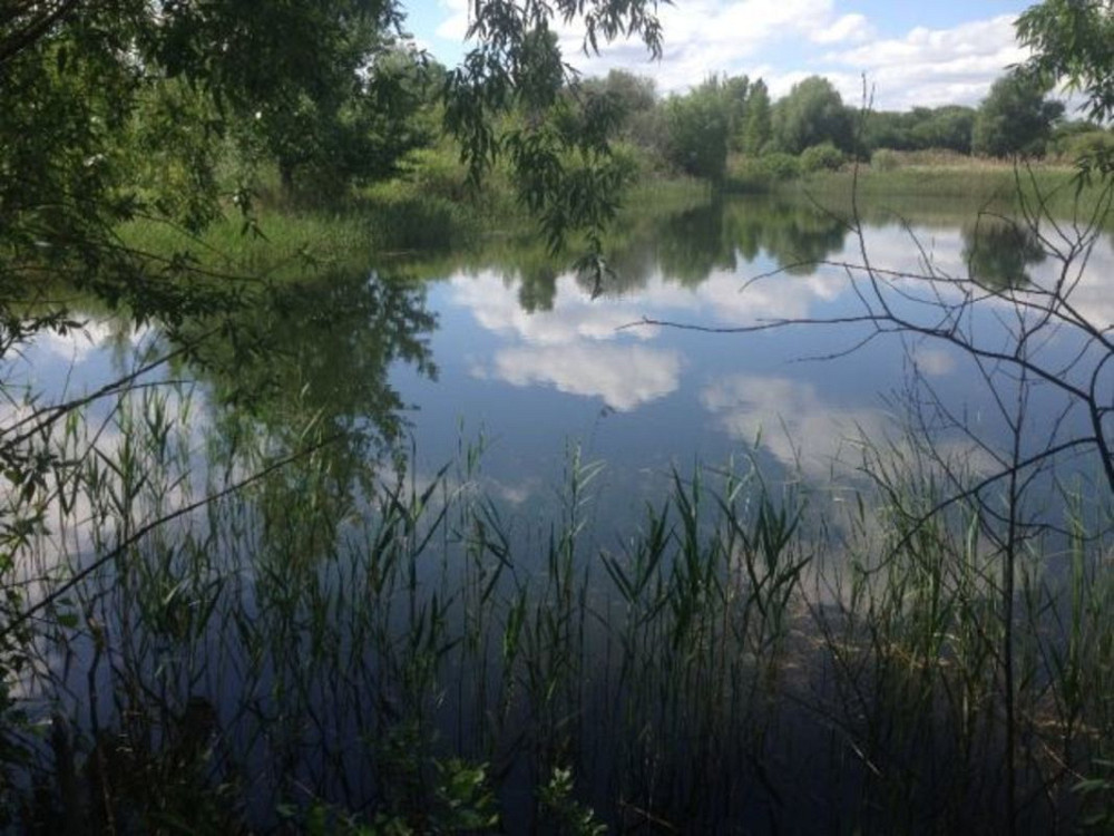 Продаж земельної ділянки 94 соток Лебедин - фото 3