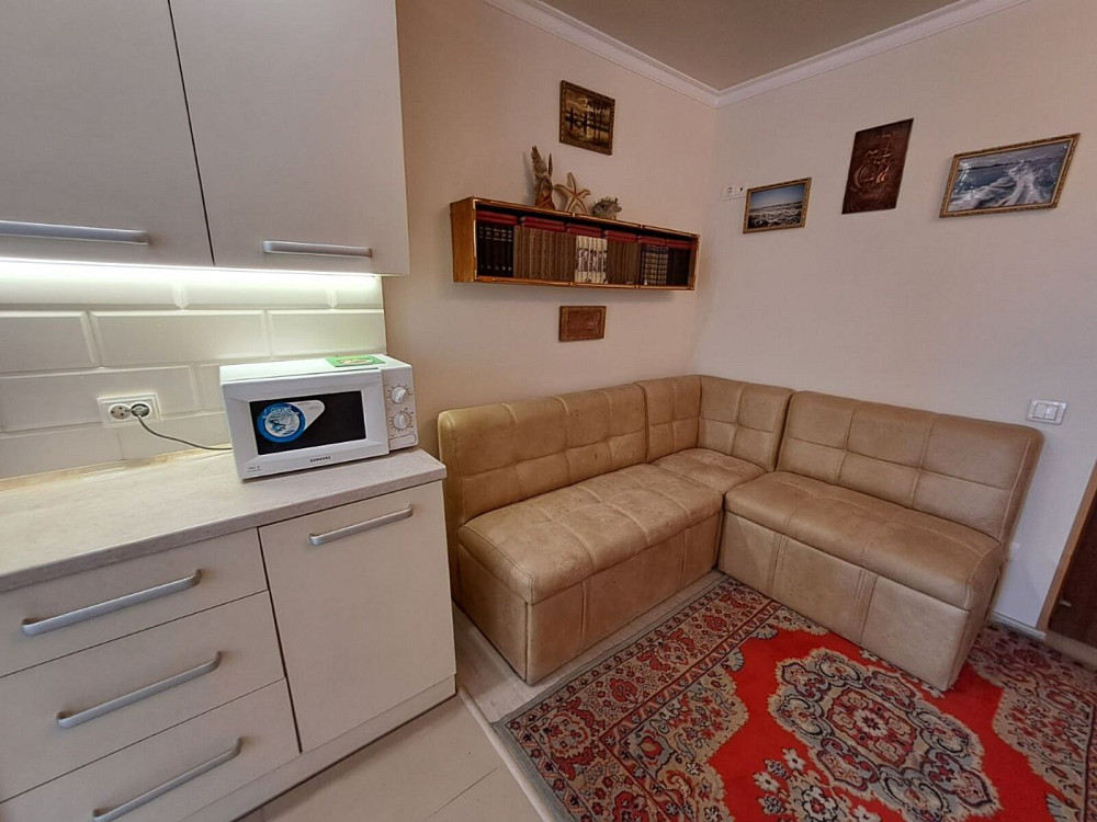 Оренда Квартира 1-кімнатна, 8/10 поверх на вул. Білогірська Ternopil' - photo 5