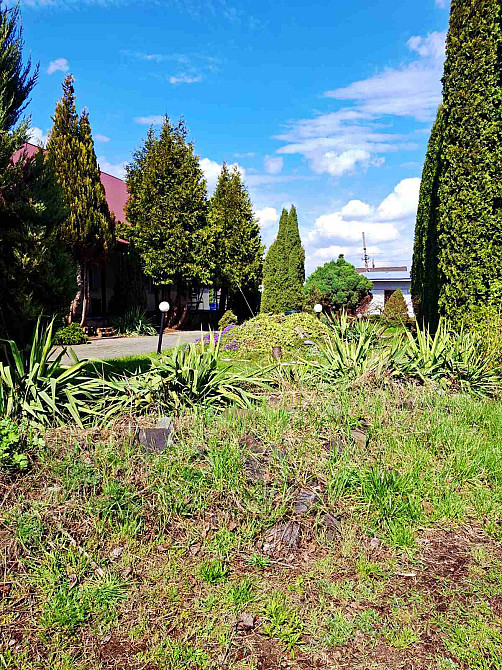 Продаж торгове приміщення на вул.Березина поверх - 1 Кременець - фото 4