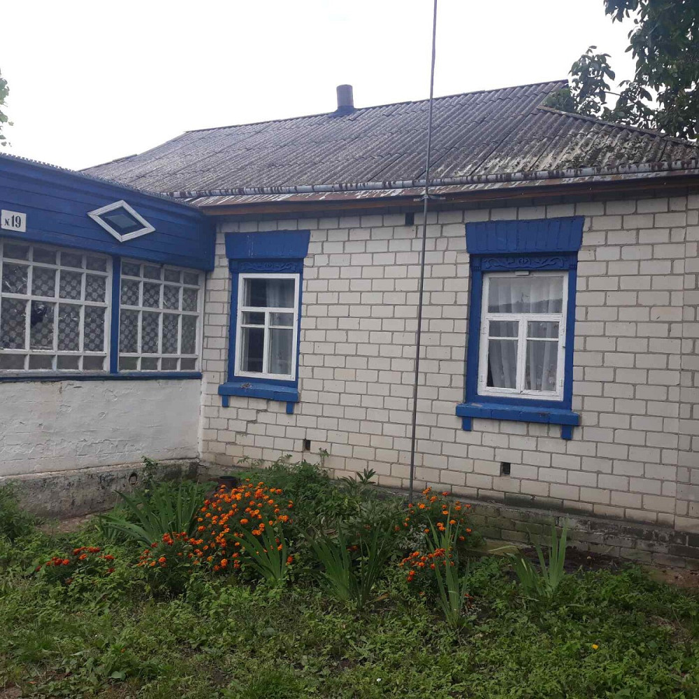 Продаж Будинок на улица Луговая, д. Петрівка (Щорський район) - фото 2