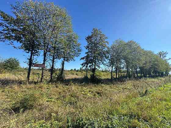 Продаж земельної ділянки 1.1 га Tsutsyliv