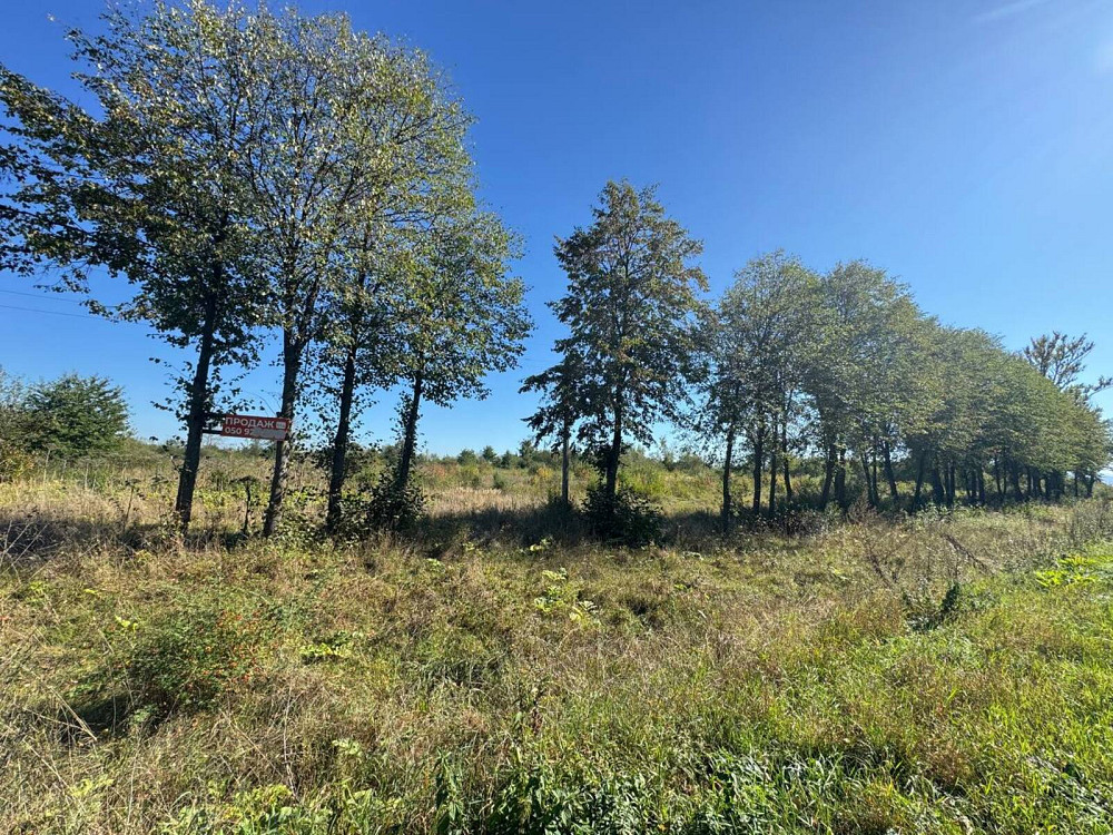 Продаж земельної ділянки 1.1 га Tsutsyliv - photo 2