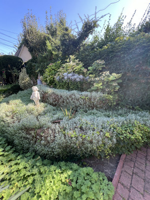 Продам дом на 8 сотках, Аркадия, парк ЮНОСТЬ, ул. Новобереговая Одеса