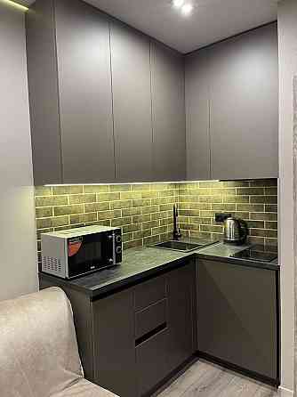 Оренда Квартира 1-кімнатна, 20/25 поверх на Зарічна, 3 Киев