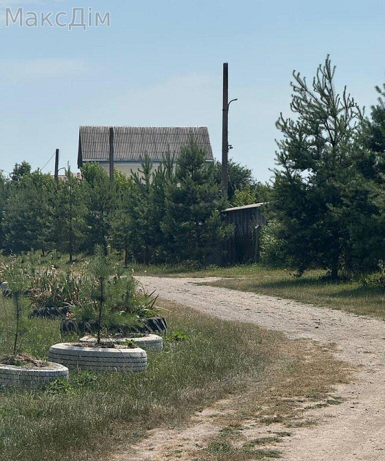 Продаж Будинок Велика Березовиця - фото 3