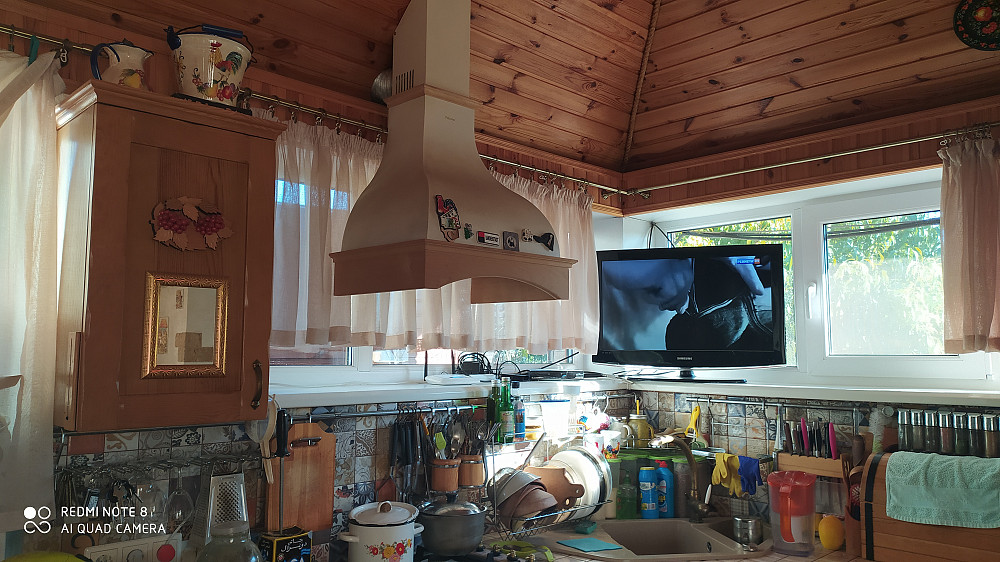 Продаётся прекрасный дом-усадьба в с. Великий Дальник Великий Дальник - фото 8