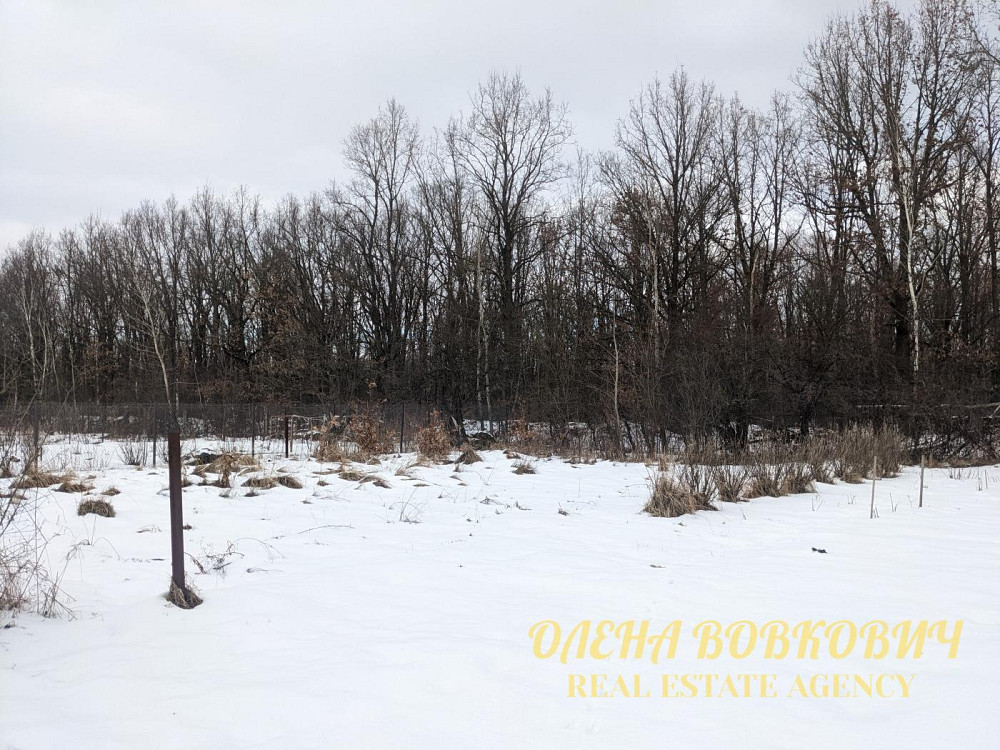 Продаж земельної ділянки 5.51 соток Pavlivka - photo 2